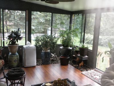 sunroom, american renewal